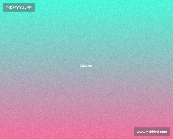 莱特米letme
